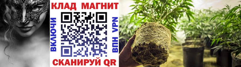 Где купить Белая Калитва Марихуана  МЕФ  Cocaine  Гашиш 