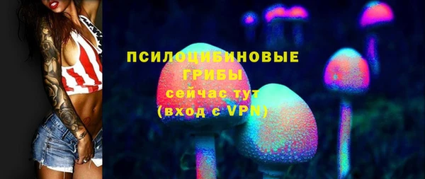гашик Балахна