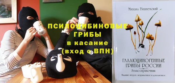 apvp Аркадак