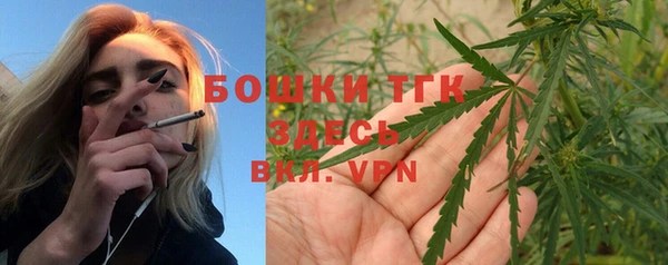 гашик Балахна