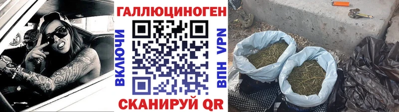 мориарти официальный сайт  Белая Калитва  Галлюциногенные грибы Psilocybe 